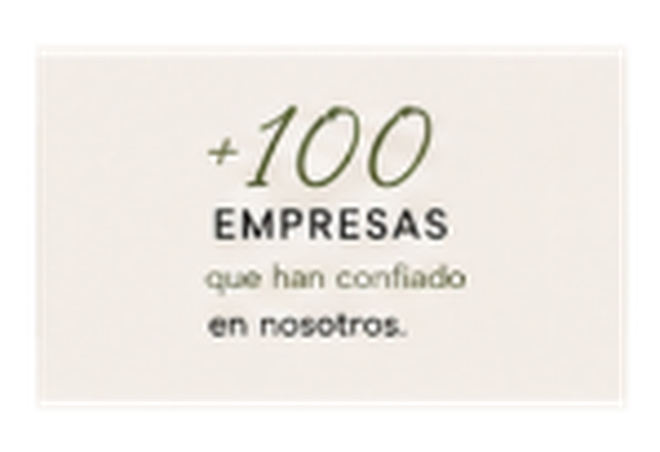 100+ Empresas satisfechas